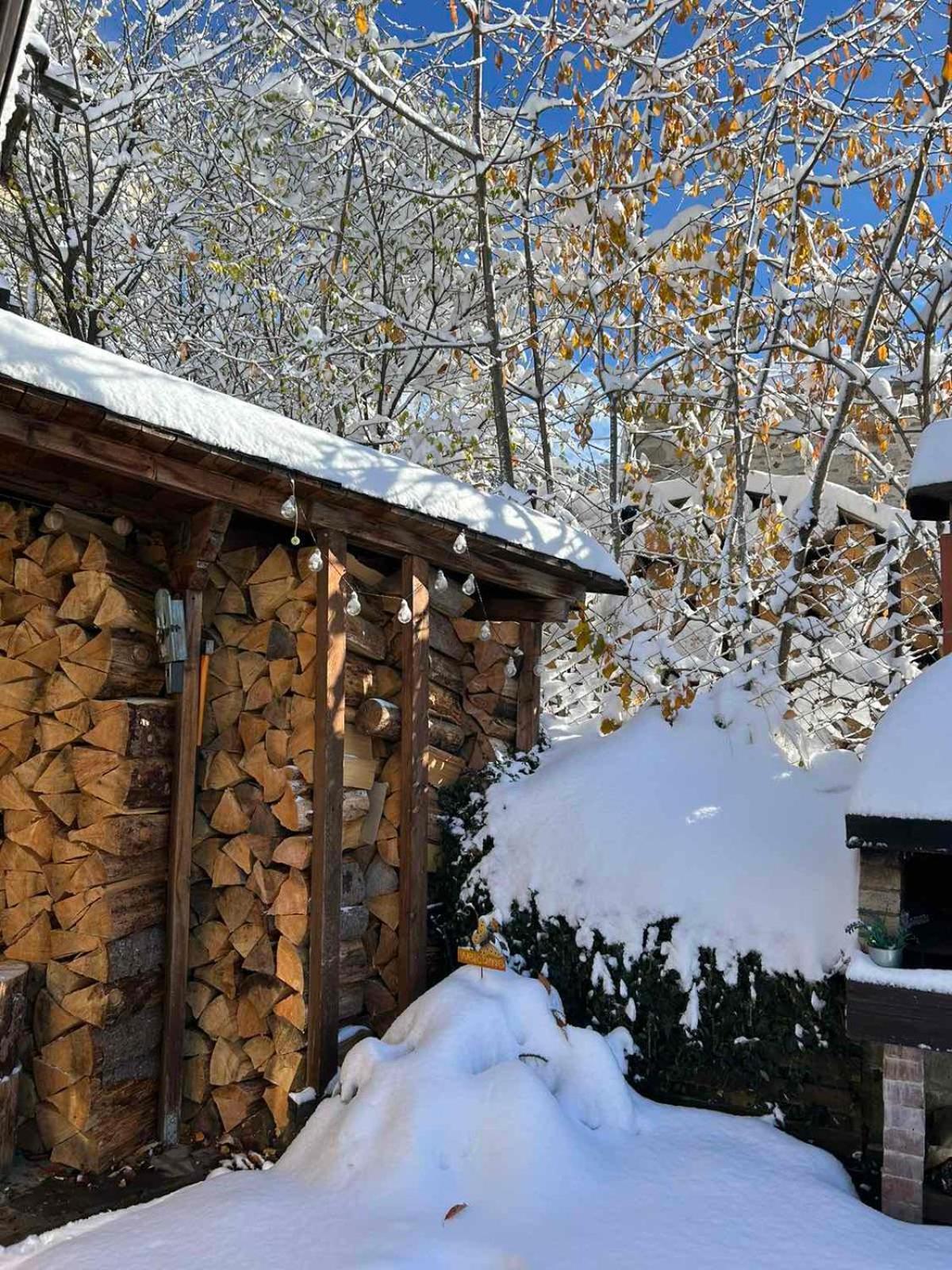 Chepelare Holiday Guest House Экстерьер фото